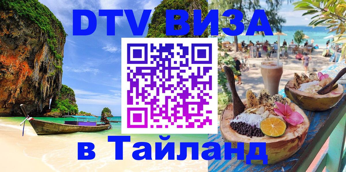 Оформление DTV визы под ключ: стоимость и тарифы, только загранпаспорт - Тула 